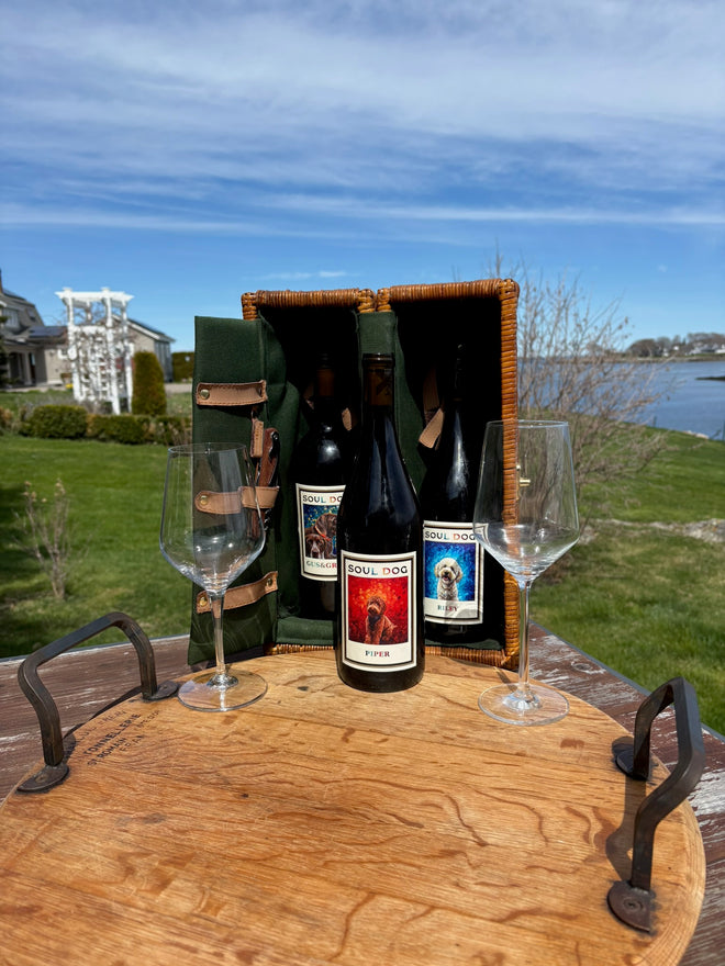 Two guests with glasses of red wine in front of a shelf of Soul Dog Wines bottles.